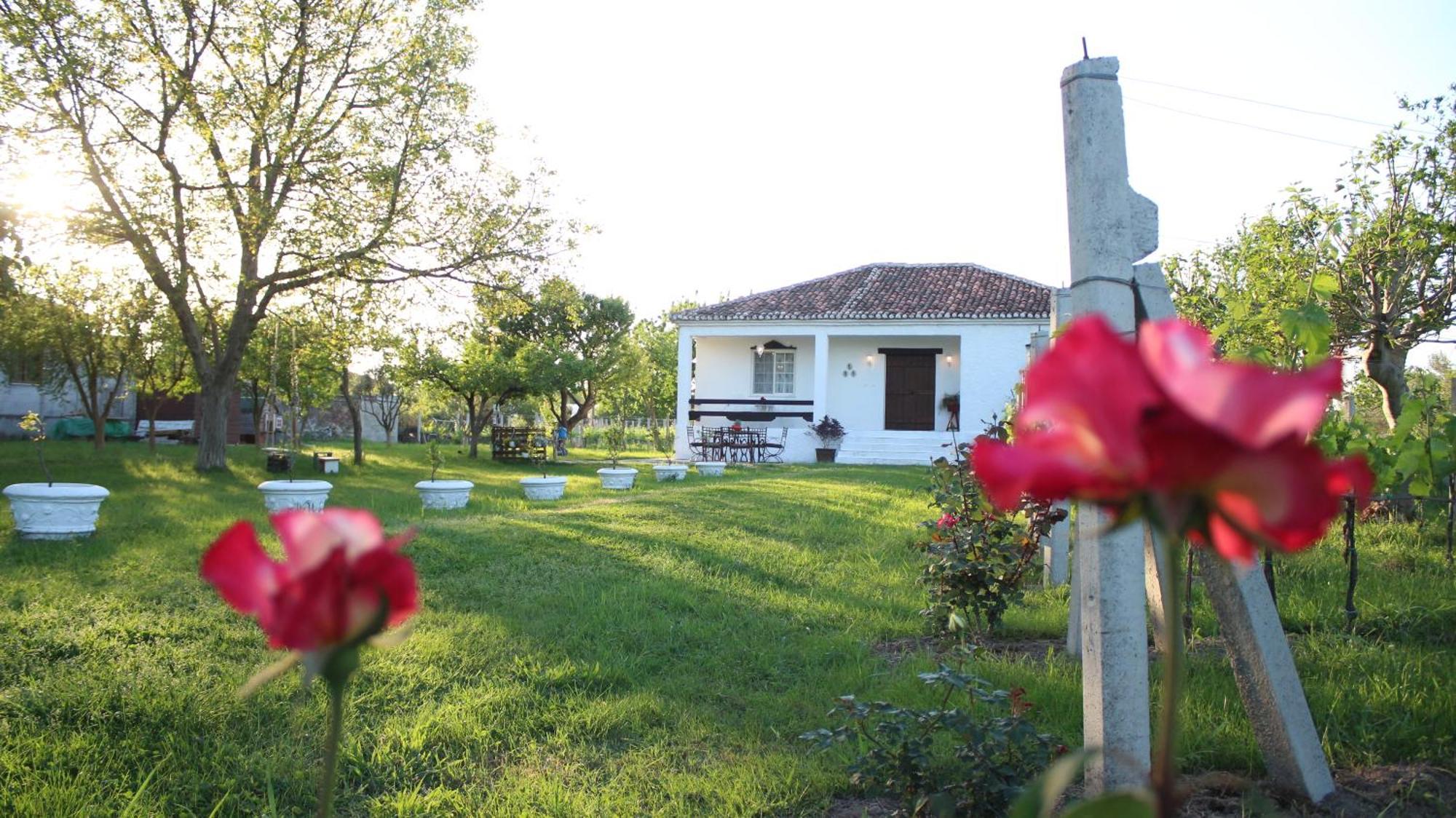 "Per Mik" Cottage In Vineyard Shkodër Dış mekan fotoğraf