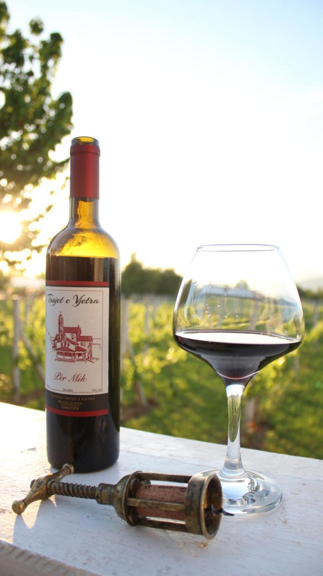 "Per Mik" Cottage In Vineyard Shkodër Dış mekan fotoğraf