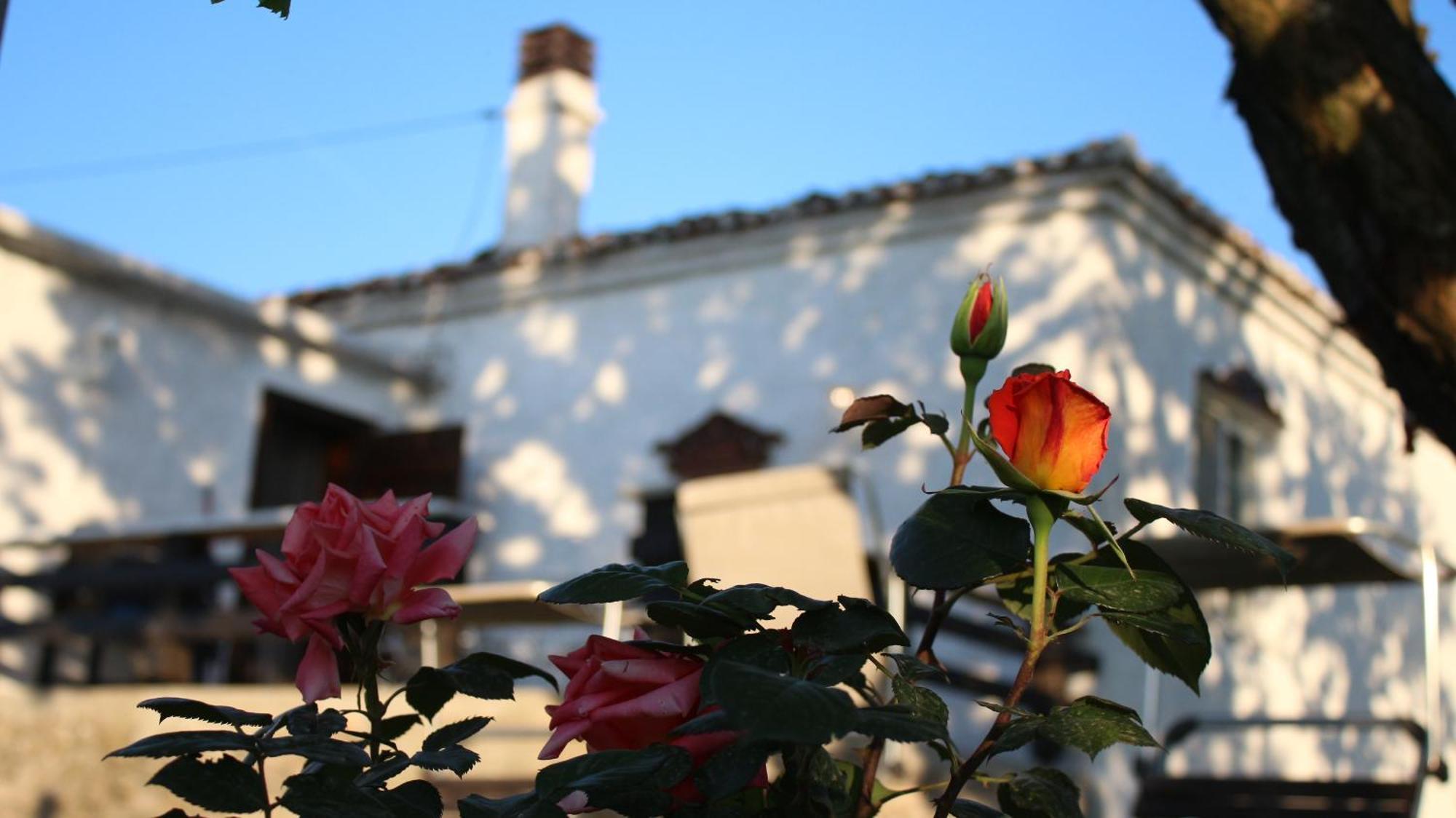 "Per Mik" Cottage In Vineyard Shkodër Dış mekan fotoğraf