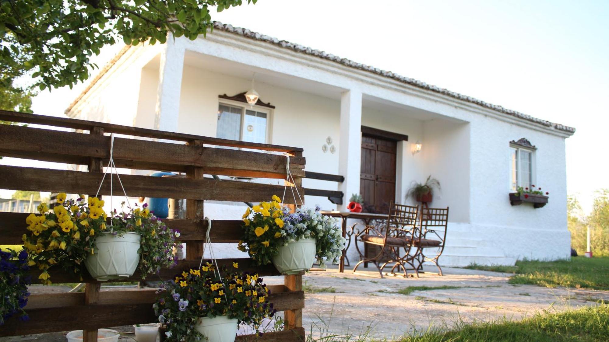 "Per Mik" Cottage In Vineyard Shkodër Dış mekan fotoğraf