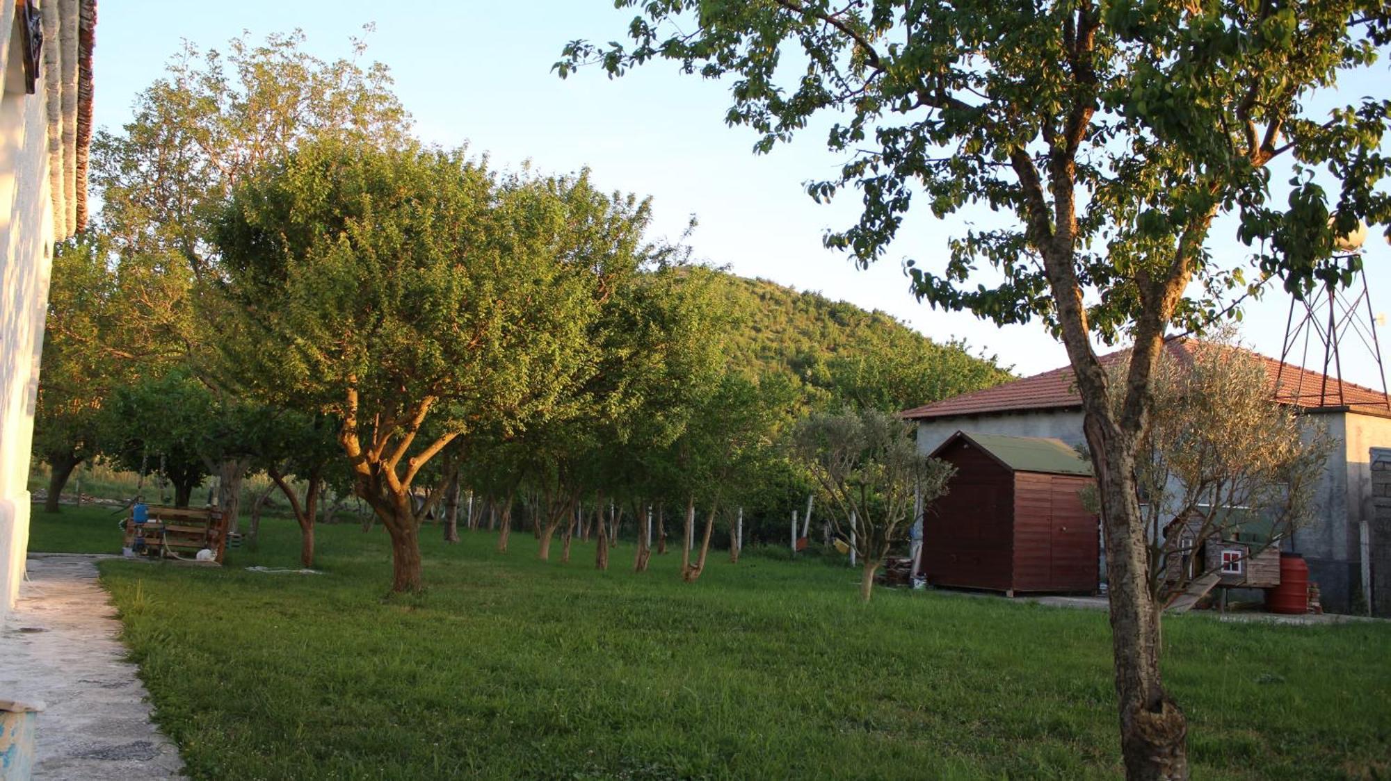"Per Mik" Cottage In Vineyard Shkodër Dış mekan fotoğraf